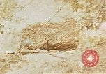 Image of U.S. 36th Infantry Division France, 1945, second 14 stock footage video 65675070340