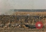 Image of American soldiers France, 1945, second 44 stock footage video 65675070341