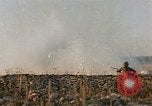 Image of American soldiers France, 1945, second 55 stock footage video 65675070341