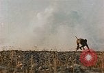 Image of American soldiers France, 1945, second 56 stock footage video 65675070341
