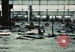Image wrecked aéronefs France, 1944, de la seconde 37 séquences d'archives historiques vidéo 65675070350