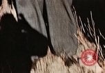 Image les aviateurs américains échappé de Swiss internement Annecy France, 1944, de la seconde 30 séquences d'archives historiques vidéo 65675070351