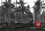 Image les travaux de construction 'Espiritu Santo Vanuatu, 1943, de la seconde 1 séquences d'archives historiques vidéo 65675070359