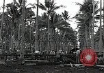 Image les travaux de construction 'Espiritu Santo Vanuatu, 1943, de la seconde 3 séquences d'archives historiques vidéo 65675070359