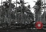 Image les travaux de construction 'Espiritu Santo Vanuatu, 1943, de la seconde 4 séquences d'archives historiques vidéo 65675070359