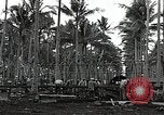 Image les travaux de construction 'Espiritu Santo Vanuatu, 1943, de la seconde 6 séquences d'archives historiques vidéo 65675070359
