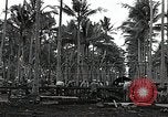 Image les travaux de construction 'Espiritu Santo Vanuatu, 1943, de la seconde 7 séquences d'archives historiques vidéo 65675070359