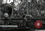 Image les travaux de construction 'Espiritu Santo Vanuatu, 1943, de la seconde 8 séquences d'archives historiques vidéo 65675070359