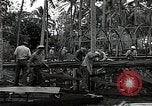 Image les travaux de construction 'Espiritu Santo Vanuatu, 1943, de la seconde 9 séquences d'archives historiques vidéo 65675070359