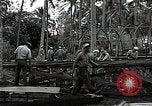 Image les travaux de construction 'Espiritu Santo Vanuatu, 1943, de la seconde 10 séquences d'archives historiques vidéo 65675070359