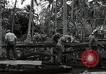 Image les travaux de construction 'Espiritu Santo Vanuatu, 1943, de la seconde 11 séquences d'archives historiques vidéo 65675070359
