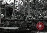 Image les travaux de construction 'Espiritu Santo Vanuatu, 1943, de la seconde 12 séquences d'archives historiques vidéo 65675070359