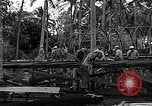 Image les travaux de construction 'Espiritu Santo Vanuatu, 1943, de la seconde 13 séquences d'archives historiques vidéo 65675070359
