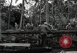 Image les travaux de construction 'Espiritu Santo Vanuatu, 1943, de la seconde 15 séquences d'archives historiques vidéo 65675070359