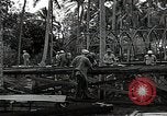 Image les travaux de construction 'Espiritu Santo Vanuatu, 1943, de la seconde 16 séquences d'archives historiques vidéo 65675070359