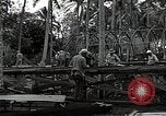 Image les travaux de construction 'Espiritu Santo Vanuatu, 1943, de la seconde 17 séquences d'archives historiques vidéo 65675070359