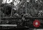 Image les travaux de construction 'Espiritu Santo Vanuatu, 1943, de la seconde 18 séquences d'archives historiques vidéo 65675070359