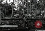 Image les travaux de construction 'Espiritu Santo Vanuatu, 1943, de la seconde 19 séquences d'archives historiques vidéo 65675070359