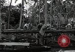 Image les travaux de construction 'Espiritu Santo Vanuatu, 1943, de la seconde 20 séquences d'archives historiques vidéo 65675070359