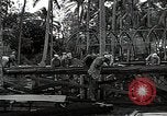Image les travaux de construction 'Espiritu Santo Vanuatu, 1943, de la seconde 21 séquences d'archives historiques vidéo 65675070359