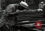 Image les travaux de construction 'Espiritu Santo Vanuatu, 1943, de la seconde 26 séquences d'archives historiques vidéo 65675070359