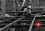 Image les travaux de construction 'Espiritu Santo Vanuatu, 1943, de la seconde 33 séquences d'archives historiques vidéo 65675070359
