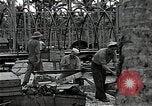 Image les travaux de construction 'Espiritu Santo Vanuatu, 1943, de la seconde 56 séquences d'archives historiques vidéo 65675070359