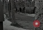 Standbild Amerikanisches Militärkrankenhaus Espiritu Santo Vanuatu, 1943, aus Sekunde 7 historischem Filmmaterial Videoclip 65675070360