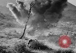 Standbild Militärpolizei United States USA, 1944, aus Sekunde 43 historischem Filmmaterial Videoclip 65675070362