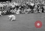 Image Tournoi de golf ouvert Saint Paul Minnesota United States USA, 1947, de la seconde 29 séquences d'archives historiques vidéo 65675070372