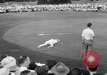 Image Tournoi de golf ouvert Saint Paul Minnesota United States USA, 1947, de la seconde 44 séquences d'archives historiques vidéo 65675070372