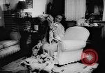 Image Dalmatien chiots Holland Hollande, 1957, de la seconde 11 séquences d'archives historiques vidéo 65675070390