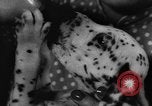 Image Dalmatien chiots Holland Hollande, 1957, de la seconde 16 séquences d'archives historiques vidéo 65675070390