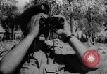 Standbild Israel-Syria Grenze clash syrischen Grenze, 1957, aus Sekunde 60 historischem Filmmaterial Videoclip 65675070395