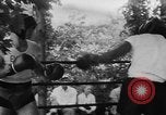 Image of Thomas Jackson New Jersey United States USA, 1957, second 25 stock footage video 65675070400