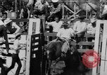 Image of Reno Rodeo Nevada United States USA, 1957, second 20 stock footage video 65675070401