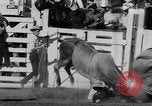 Image of Reno Rodeo Nevada United States USA, 1957, second 61 stock footage video 65675070401