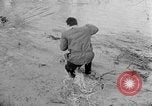 Image of floods France, 1952, second 29 stock footage video 65675070423