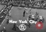 Standbild dog show New York United States USA, 1952, aus Sekunde 3 historischem Filmmaterial Videoclip 65675070426
