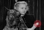 Standbild dog show New York United States USA, 1952, aus Sekunde 22 historischem Filmmaterial Videoclip 65675070426