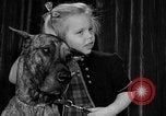 Standbild dog show New York United States USA, 1952, aus Sekunde 23 historischem Filmmaterial Videoclip 65675070426