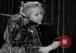 Standbild dog show New York United States USA, 1952, aus Sekunde 24 historischem Filmmaterial Videoclip 65675070426