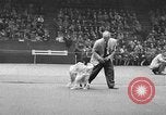 Standbild dog show New York United States USA, 1952, aus Sekunde 32 historischem Filmmaterial Videoclip 65675070426