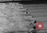 Immagine di Uomini campionato di nuoto California United States USA, 1961, secondo 30 filmato di repertorio 65675070431
