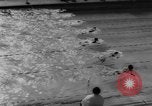 Immagine di Uomini campionato di nuoto California United States USA, 1961, secondo 31 filmato di repertorio 65675070431