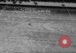 Immagine di Uomini campionato di nuoto California United States USA, 1961, secondo 44 filmato di repertorio 65675070431