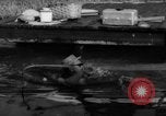 Standbild Mann angeln gehen und Waschbecken kleinen Boot Florida United States USA, 1961, aus Sekunde 61 historischem Filmmaterial Videoclip 65675070432