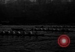 Image of Blackwell Cup race New York United States USA, 1931, second 9 stock footage video 65675070437