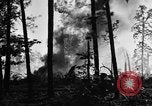 Image of burning gusher Gladewater Texas USA, 1931, second 35 stock footage video 65675070438