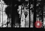 Image of burning gusher Gladewater Texas USA, 1931, second 50 stock footage video 65675070438